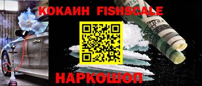 гидра Краснознаменск