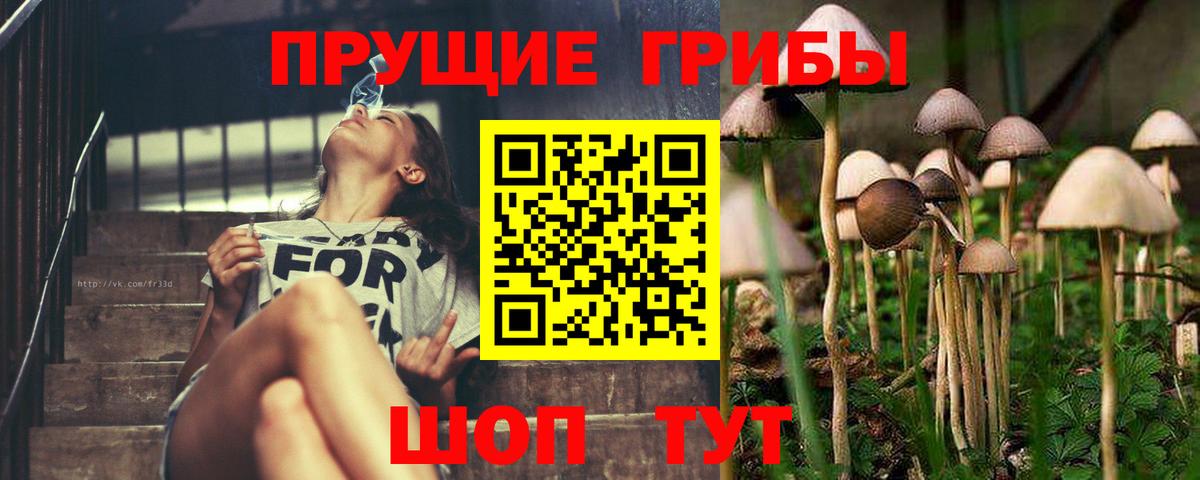 Заводоуковск  хочу   Вход с VPN  Псилоцибиновые грибы мицелий  Галлюциногенные грибы прущие грибы 