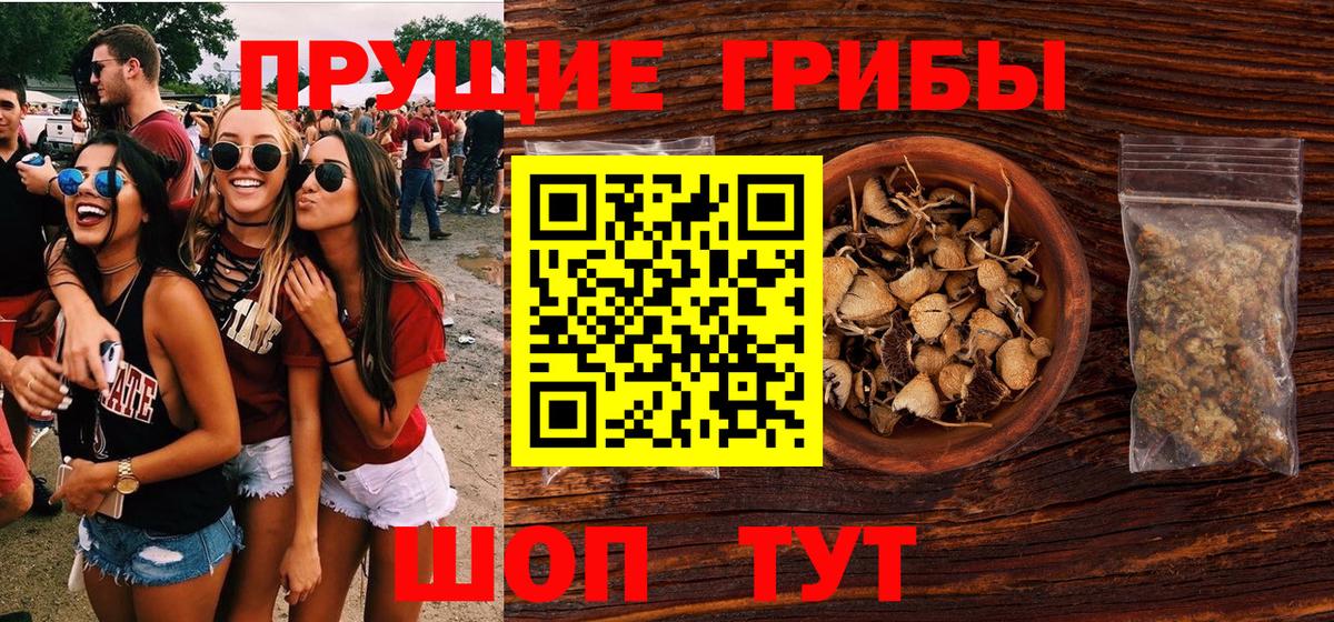Псилоцибиновые грибы Cubensis Заводоуковск