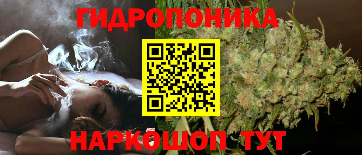 Бошки марихуана сатива  Каннабис White Widow  Вход с VPN  Заводоуковск  Каннабис конопля 